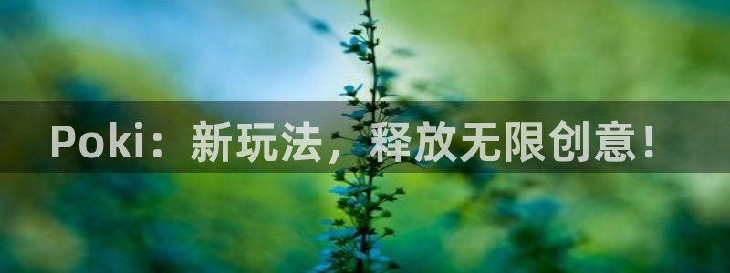 杏盛登录下载：Poki：新玩法，释放无限创意！