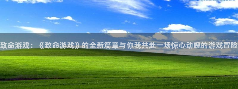 杏盛平台代理