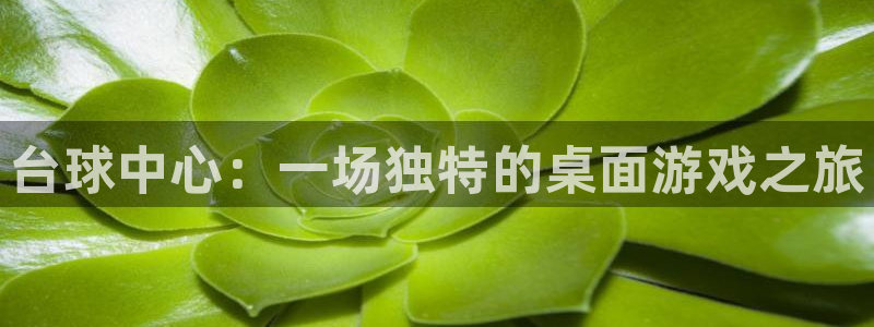 杏盛平台服务
