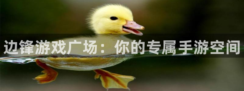 杏盛登录平台：边锋游戏广场：你的专属手游空间