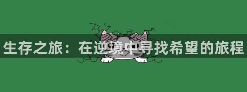 杏盛主管是谁：生存之旅：在逆境中寻找希望的旅程