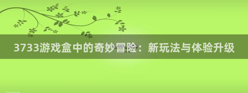 杏盛登录注册：3733游戏盒中的奇妙冒险：新玩法与体验升级